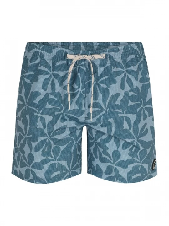 Foto van product PROTEST Boardshorts 'Baza' blauw / smoky blue