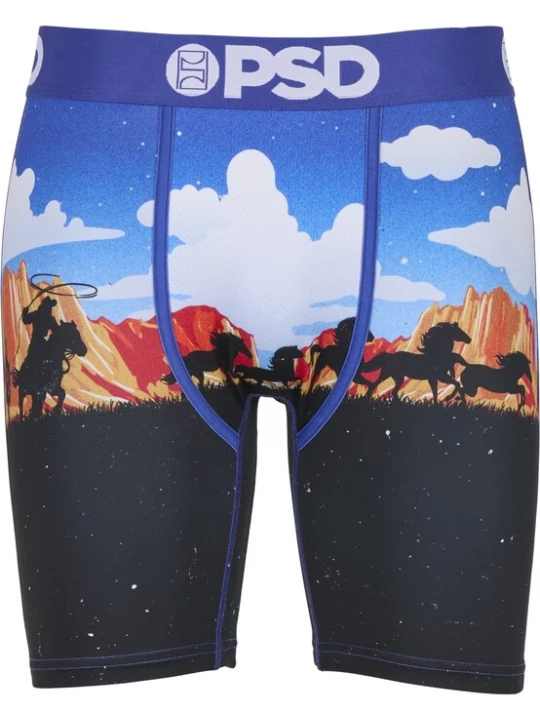 Foto van product PSD Boxershorts 'ACE HIGH' gemengde kleuren