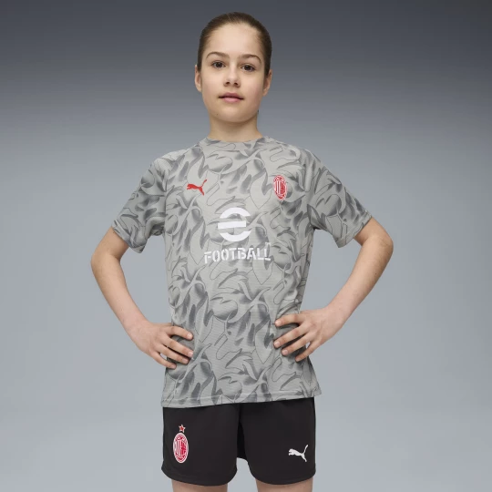 Foto van product PUMA AC Milan Pre-match shirt, Grijs / Wit