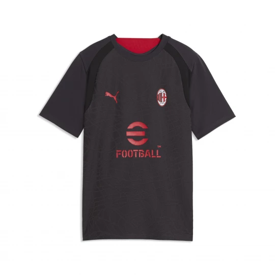 Foto van product PUMA AC Milan slimfit trainingsshirt, Grijs