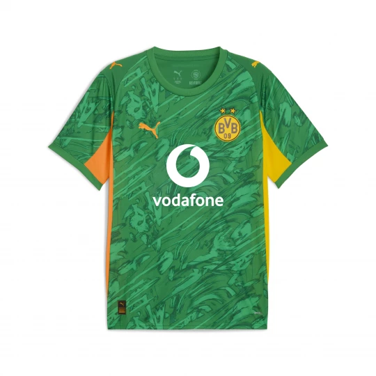 Foto van product PUMA Borussia Dortmund 25 / 26 keepersshirt met korte mouwen voor Heren, Groen / Oranje