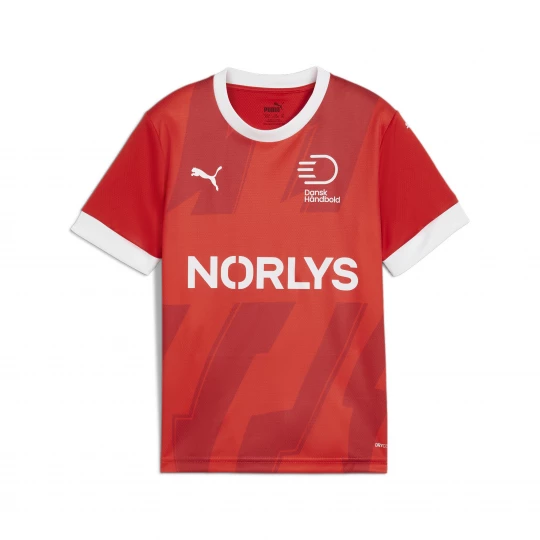 Foto van product PUMA Denemarken handbal thuisshirt, Rood / Wit