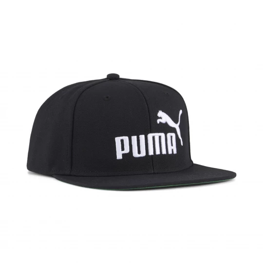 Foto van product PUMA Essentials No. 1 Logo pet met platte rand, Groen / Zwart