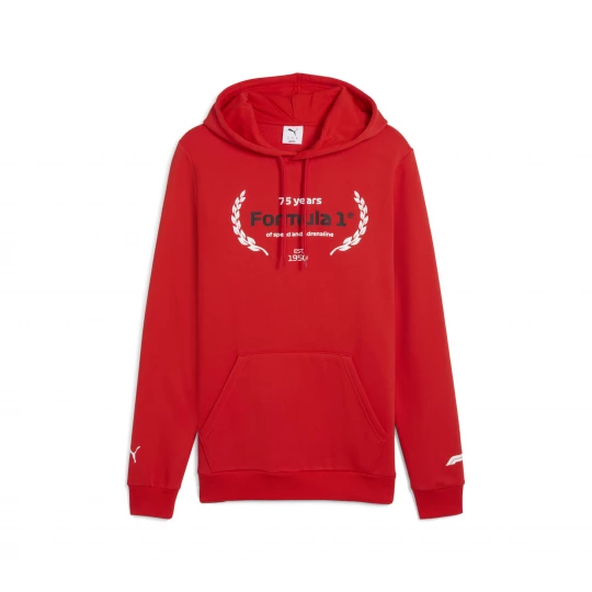Foto van product PUMA F1Â® Essentials Logo grafische hoodie voor Heren, Rood
