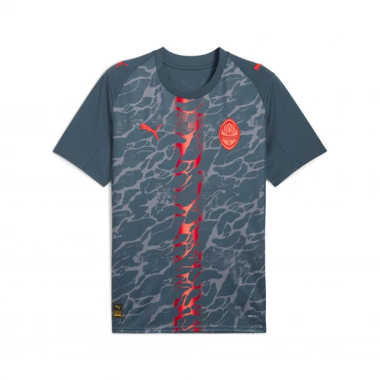 Foto van product PUMA FC Shakhtar Donetsk 25 / 26 uitshirt voor Heren, Grijs