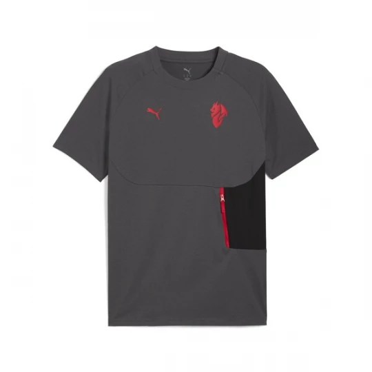 Foto van product PUMA Functioneel shirt 'AC Milan Pumatech' donkergrijs / donkerrood / zwart