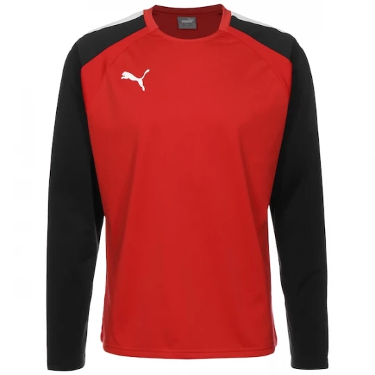 Foto van product PUMA Functioneel shirt 'Team Liga' rood / zwart