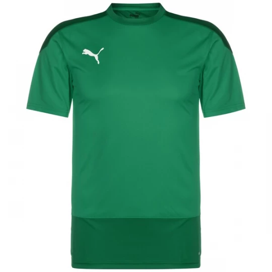 Foto van product PUMA Functioneel shirt 'TeamGoal 23' groen / donkergroen