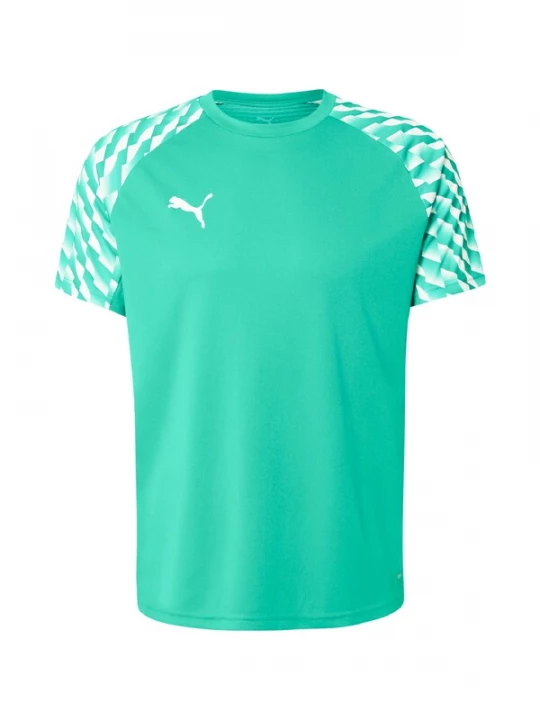 Foto van product PUMA Functioneel shirt 'teamLIGA26' smaragd / wit