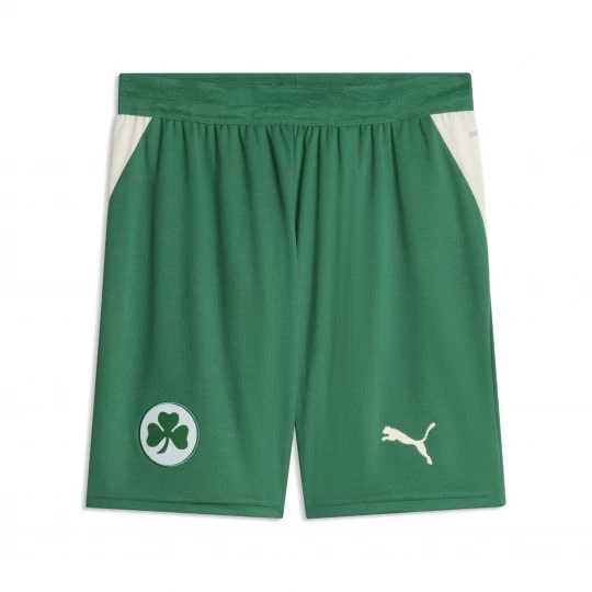 Foto van product PUMA Greuther FÃ¼rth 26 / 27 short voor Heren, Groen / Rood / Bruin