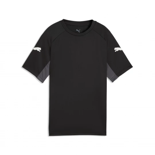 Foto van product PUMA IndividualLIGA voetbalshirt, Zwart / Grijs / Rood