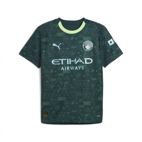 Foto van product PUMA Manchester City 25 / 26 vierde shirt voor Heren, Groen