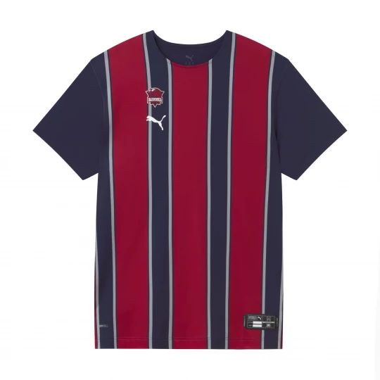 Foto van product PUMA Saski Baskonia thuis-basketbalshirt met korte mouw voor Heren, Blauw