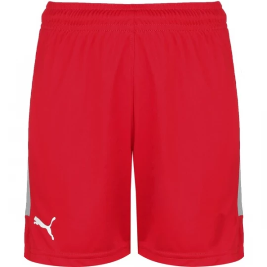 Foto van product PUMA Sportbroek grijs / rood / wit
