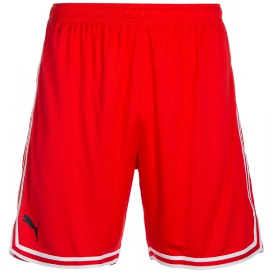 Foto van product PUMA Sportbroek 'Hoops Team Game' rood / zwart / wit