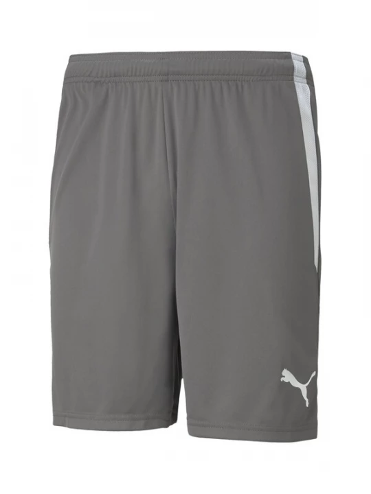 Foto van product PUMA Sportbroek 'TeamLiga' lichtgrijs / donkergrijs