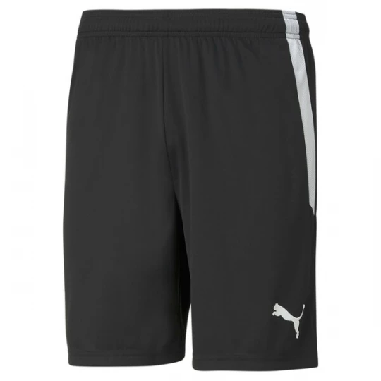 Foto van product PUMA Sportbroek 'TeamLiga' lichtgrijs / zwart / wit