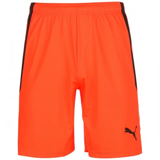 Foto van product PUMA Sportbroek 'TeamLiga' oranjerood / zwart