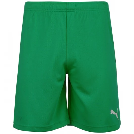 Foto van product PUMA Sportbroek 'TeamRise' groen / wit
