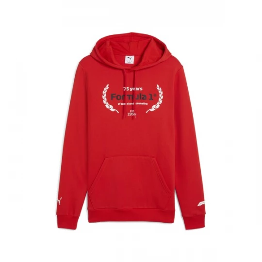 Foto van product PUMA Sporttrui 'F1® Essentials ' rood / zwart / wit