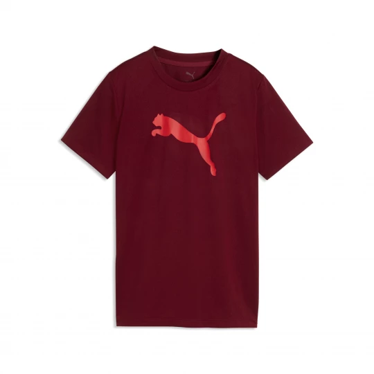 Foto van product PUMA Train All Day Essentials Cat-logo T-shirt voor Heren