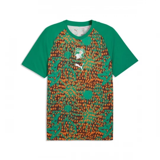 Foto van product PUMA Tricot 'Elfenbeinküste' donkerbruin / groen / oranje / wit