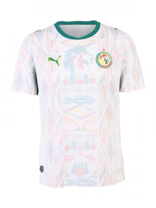 Foto van product PUMA Tricot 'Senegal 2026' hemelsblauw / grasgroen / rosa / wit