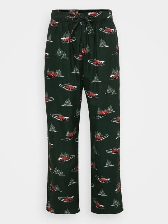 Foto van product Pyjamabroek Hollister Co. groen