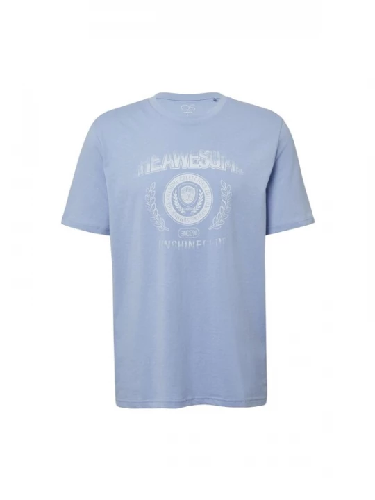 Foto van product QS Shirt 'Q / S designed by - Heren t-shirt' blauw