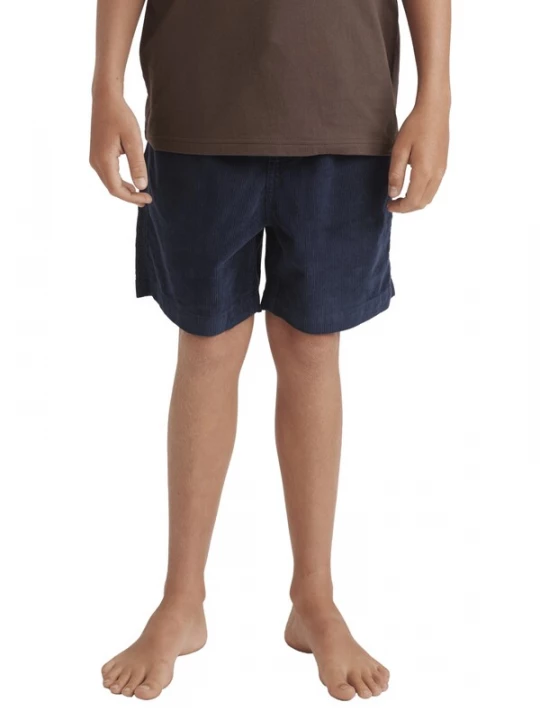 Foto van product QUIKSILVER Broek 'Taxer' marine
