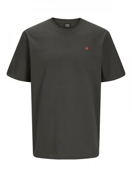Foto van product R.D.D. by Jack & Jones Shirt 'RDDROAD' spar