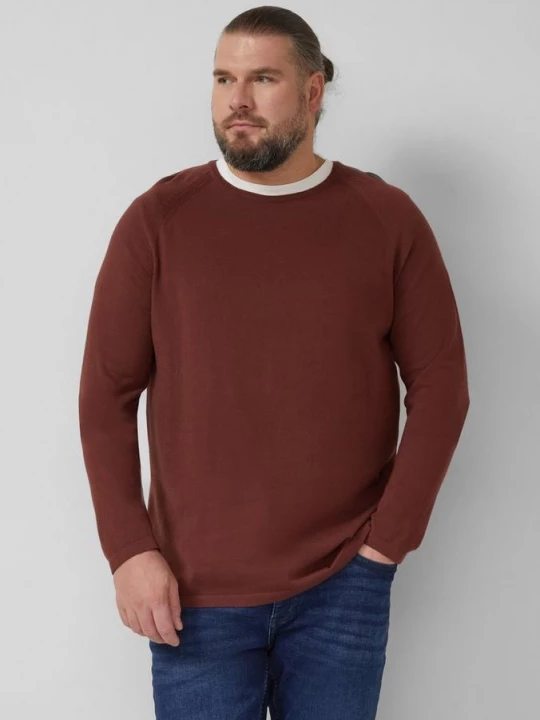 Foto van product Raglan trui van puur katoen s.Oliver rood