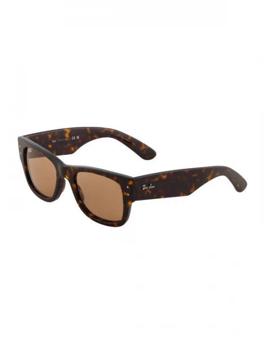Foto van product Ray-Ban Zonnebril '0RB0840S' bruin / donkerbruin