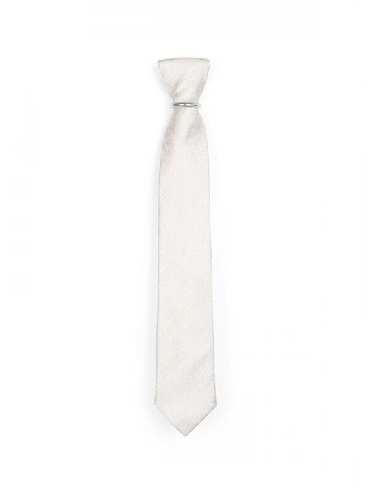 Foto van product Real Guys Stropdas beige