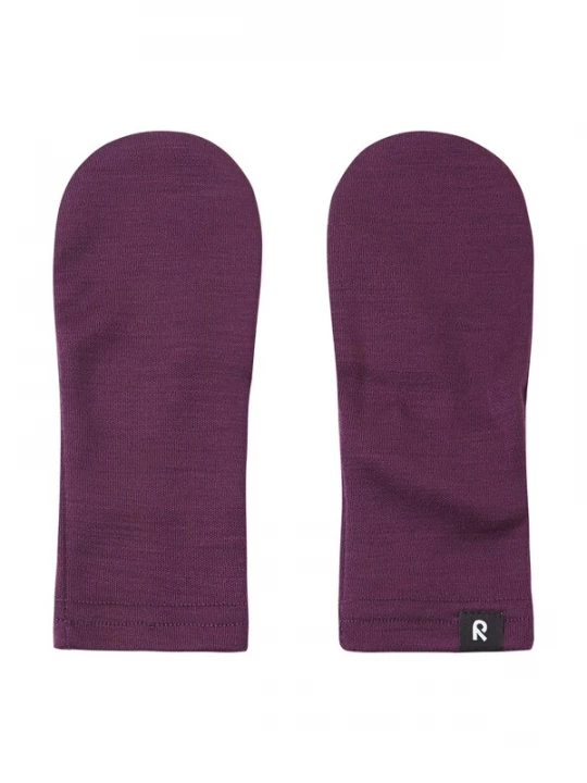 Foto van product Reima Handschoenen 'Eino' donkerlila