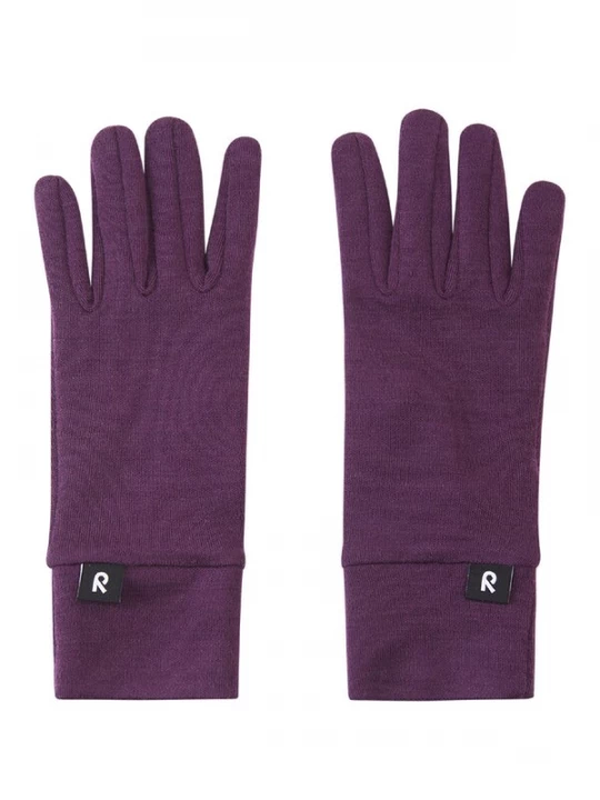 Foto van product Reima Handschoenen 'Etsin' donkerlila