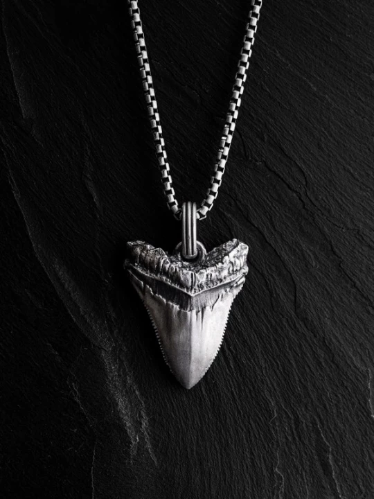 Foto van product REYTEL Hangers 'MEGALODON SHARK TOOTH' zilver