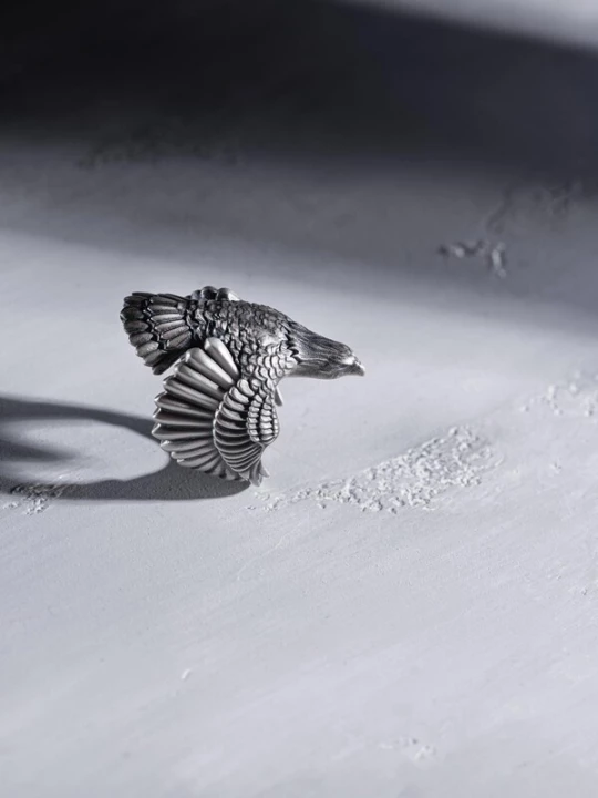 Foto van product REYTEL Ring 'THE EAGLE' zilver