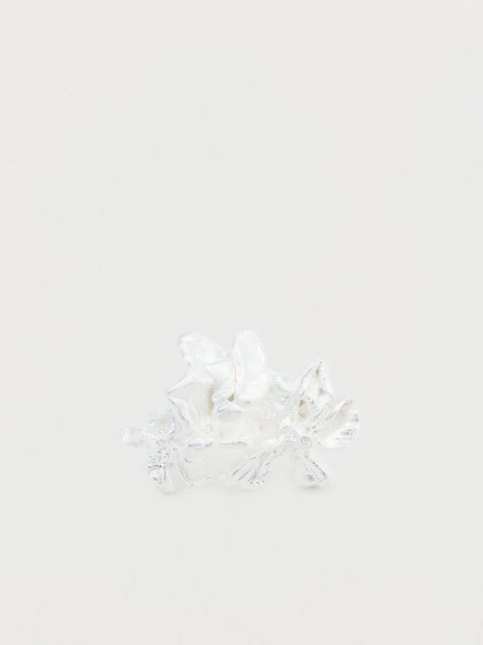 Foto van product Ring Completedworks zilverkleurig