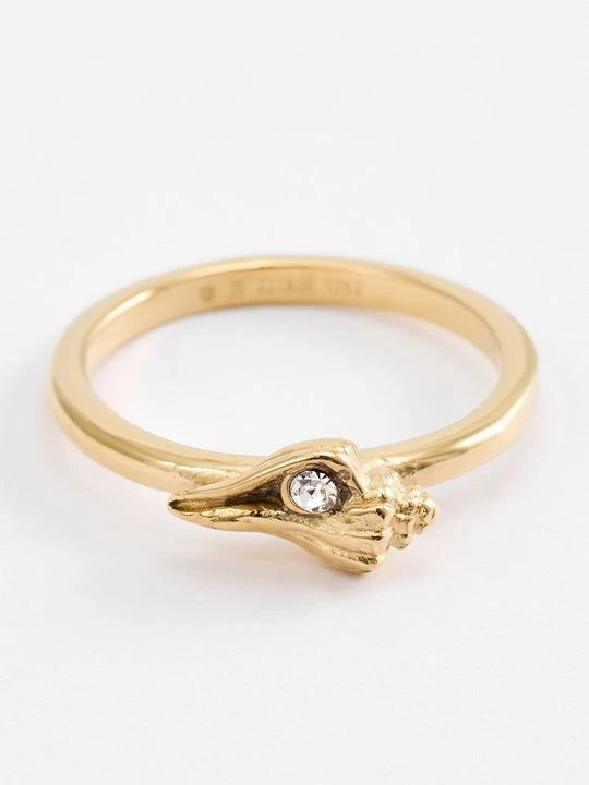 Foto van product Ring Paul Hewitt goudkleurig