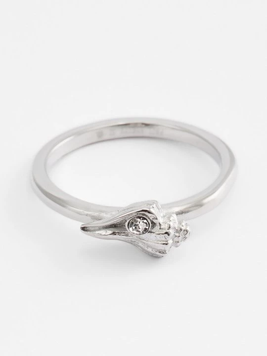 Foto van product Ring Paul Hewitt zilverkleurig
