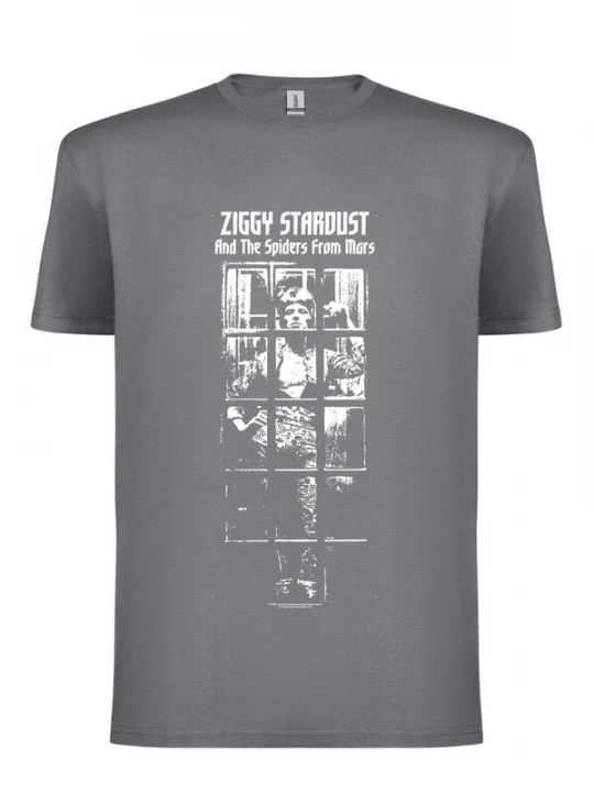 Foto van product Rockshirts Shirt 'David Bowie Ziggy Stardust bw T-Shirt' grijs