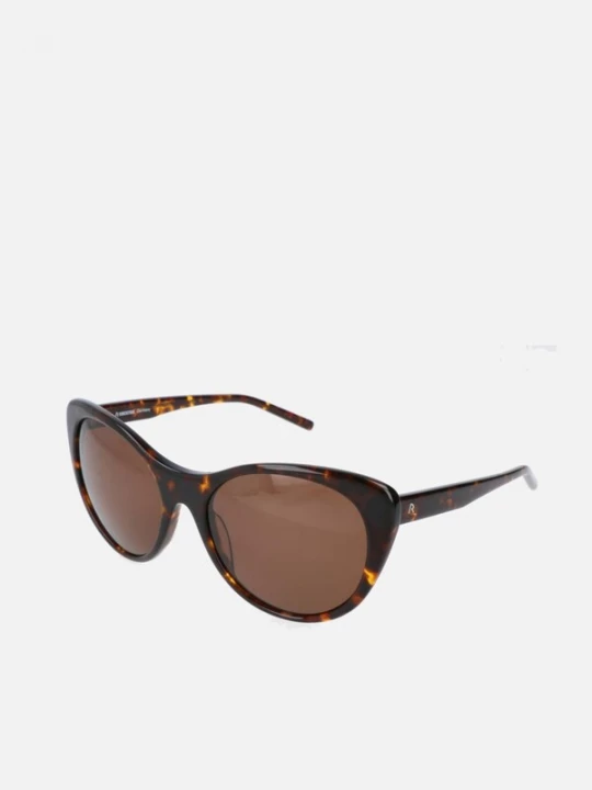 Foto van product Rodenstock Zonnebril bruin