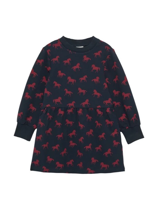 Foto van product s.Oliver Jurk navy / bourgogne