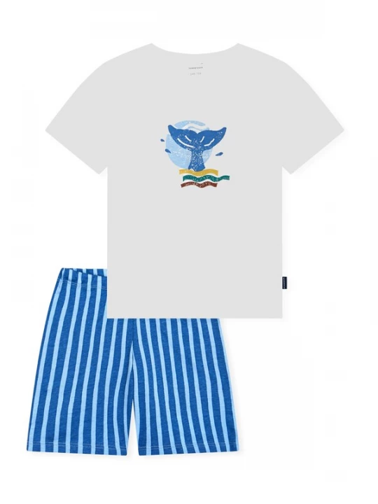 Foto van product SCHIESSER Nachtkledij ' Kids Nightwear ' blauw / lichtblauw / offwhite