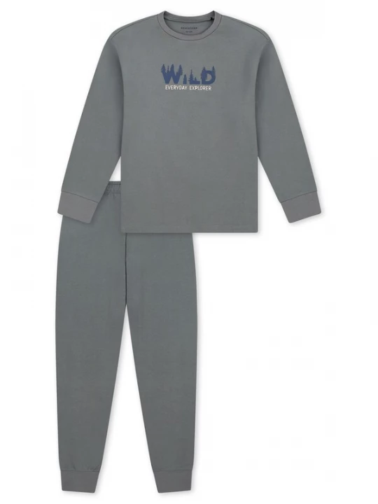 Foto van product SCHIESSER Nachtkledij ' Nightwear ' grijs / groen