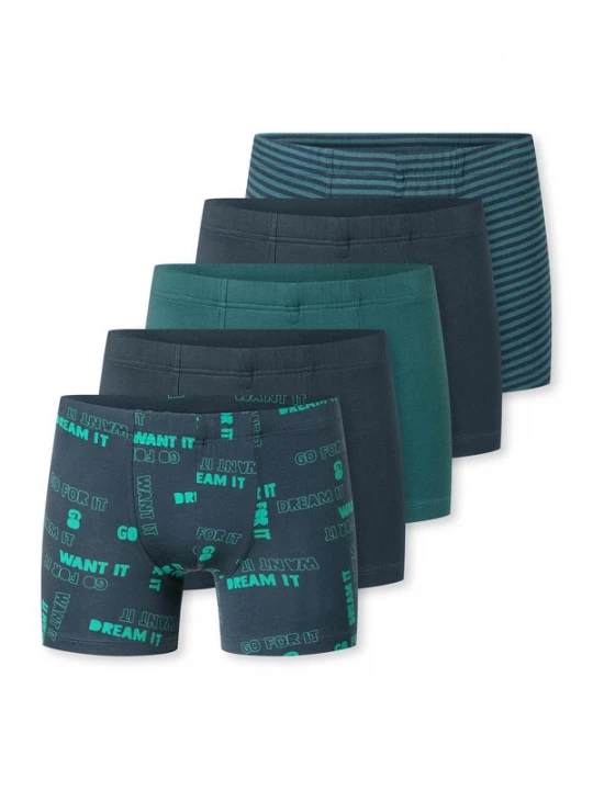 Foto van product SCHIESSER Onderbroek ' 95 / 5 Multi ' donkerblauw / groen