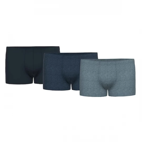 Foto van product SEIDENSTICKER Boxershorts blauw / zwart