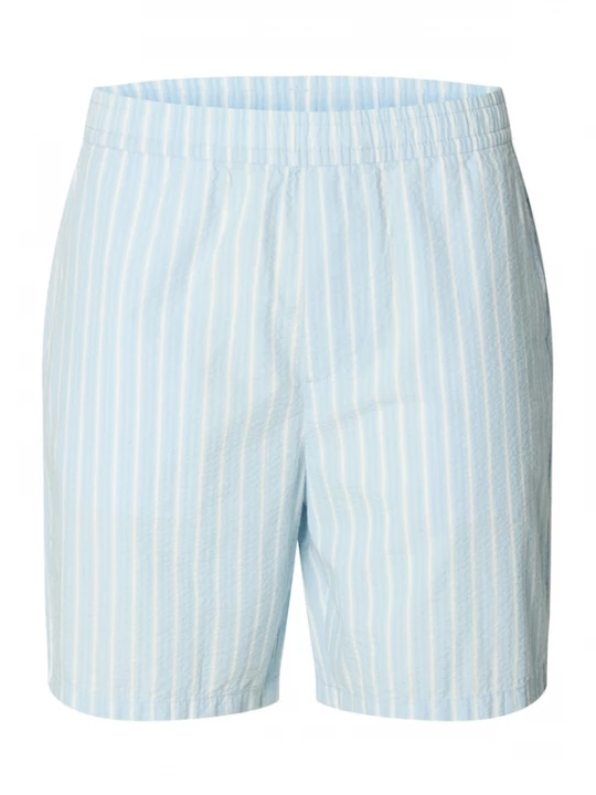 Foto van product SELECTED Broek 'SLHSTUART' pastelblauw / wit