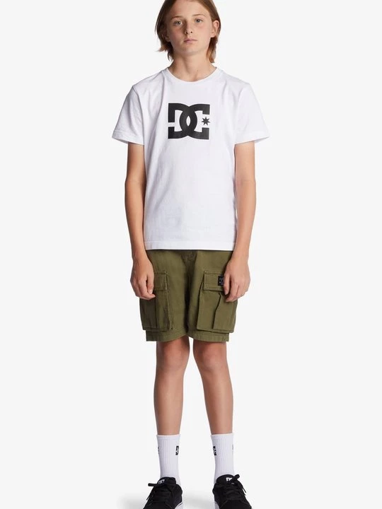 Foto van product Shorts DC Shoes groen